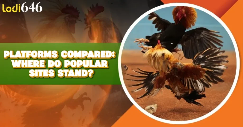 online sabong review - Platforms Compared: Where Do Popular Sites Stand?